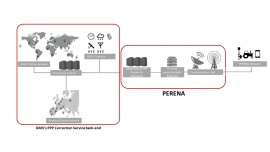 116 - Perena