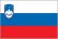 Slovenia flag