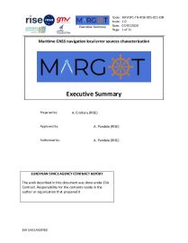 Executive Summary Report