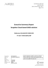 Executive Summary Report