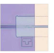 081 bis - Lithium Niobate Photonic Integrated Circuit Based High Speed, Low Voltage Modulators For Microwave Photonics