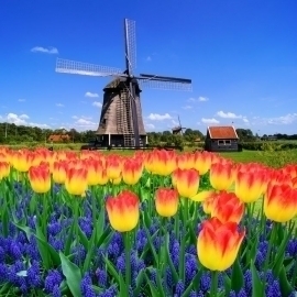 NAVISP Workshop in the Netherlands